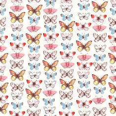 an image of many different colored butterflies