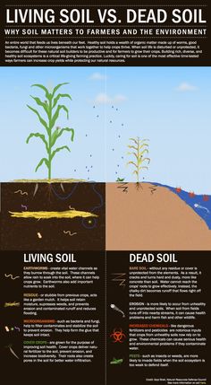 an info sheet describing different types of plants and soil