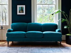 a blue couch sitting in front of two windows next to a potted green plant