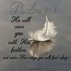 a white feather floating in the water with a bible verse written below it that reads, he will cover you with his feathers and under wings you will find refuge