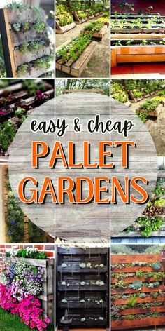 the words easy and cheap pallet gardens are shown in many different pictures, including flowers