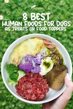 a person holding a bowl full of food with the title 8 best human foods for dogs as treats or food toppers