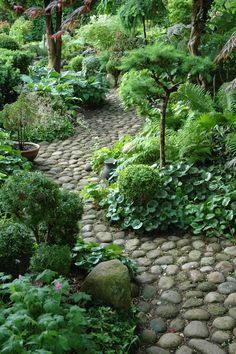 a stone path in the middle of a lush green forest filled with trees and plants