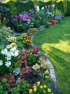 a garden filled with lots of colorful flowers