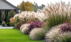 some very pretty flowers and plants in the grass