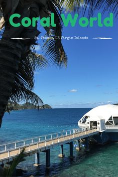 the cover of coral world magazine with a pier and palm tree in the foreground