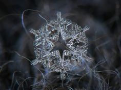 a snowflake is shown in the middle of some grass