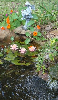 a pond filled with water lilies next to a statue