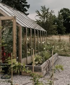 a small greenhouse with lots of plants in it