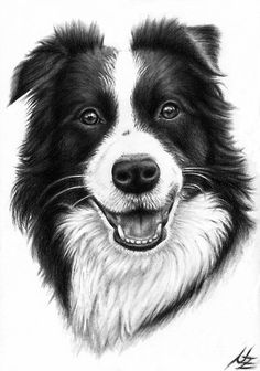 a black and white dog's face is shown with the words happy on it