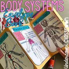 the body systems notebook book is open to show diagrams