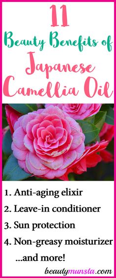 Explore the captivating beauty benefits of camellia oil, a carrier oil with heavenly uses for your skin, hair and more! Coconut Oil Facial, Coconut Oil Moisturizer, Vaseline Beauty Tips, Coconut Oil Beauty, Natural Hair Removal, Coconut Oil For Acne, Coconut Oil Skin Care, Coconut Oil For Face