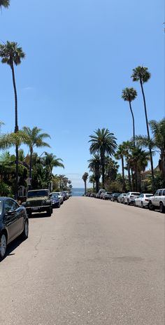 cars parked on the side of a road next to palm trees and ocean in the background