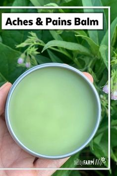 This herbal balm recipe offers relief from general aches and pains, arthritis, bursitis, and sore muscles. Herbal Salve Recipes, Salves And Balms, Healing Salve Recipe, Homemade Salve, Healing Salve, Balm Recipe, Diy Herbal Remedies