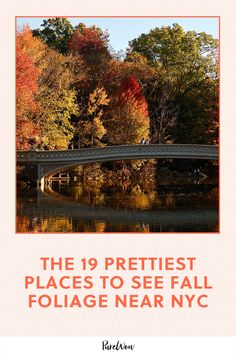 the 19 prettiest places to see fall foliage near nyc