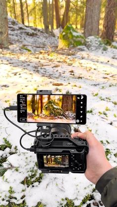 a person holding a video camera in the snow with trees and grass behind them,