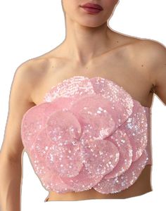 Pink Bandeau Top For Parties, Glamorous Strapless Sequin Fabric For Summer, Spring Strapless Sequin Tops, Strapless Sequin Tops For Spring, Spring Party Sequin Tube Top, Summer Sequined Bandeau Tops, Glamorous Sequined Summer Tube Top, Sequin Bandeau Top For Summer, Glamorous Sequined Tube Top For Summer