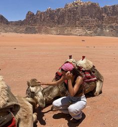 a woman petting a camel in the desert