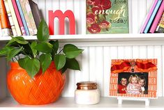 an orange vase sitting on top of a white shelf next to a potted plant