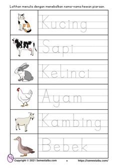 the letter k worksheet for children with pictures of animals and letters on it