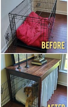 a dog in a cage before and after being cleaned