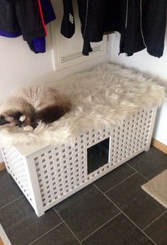 a cat laying on top of a white crate