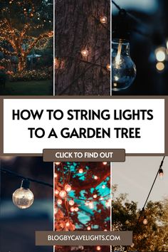 how to string lights to a garden tree