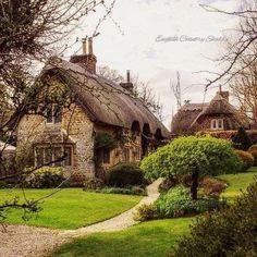 a stone house with a thatched roof surrounded by greenery and trees in the foreground