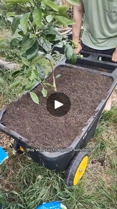 a man standing next to a wheelbarrow filled with dirt and seeding plants