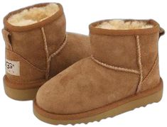 Ugg Boots, Chestnut, White Background, Boots, White