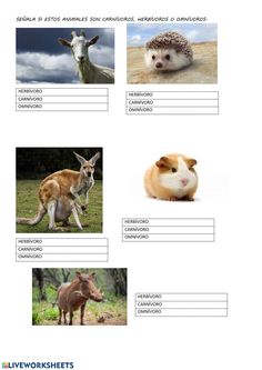 an animal worksheet with pictures of animals and their names in english or spanish