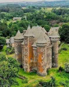 an aerial view of a castle in the middle of trees and grass, with lots of greenery surrounding it