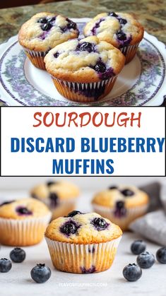 Make these easy Fluffy blueberry sourdough discard muffins using your sourdough discard! These are easy to make and are perfect for breakfast. Sourdough Muffins Blueberry, Sourdough Discard Blueberry Muffins, Discard Blueberry Muffins, Sourdough Discard Blueberry, Discard Muffins, Sourdough Treats, Sourdough Blueberry Muffins Sour Dough Discard Healthy Muffins, Discard Muffins Blueberry, Blueberry Muffin Sourdough Discard, Sourdough Starter Blueberry Muffins, Sourdough Discard Toddler Recipes, Healthy Sourdough Discard Muffins, Sourdough Blueberry Muffins Recipe, Blueberry Muffins Sourdough Discard, Sourdough Discard Muffins Recipe