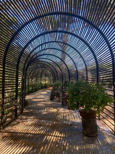 the inside of a building with many plants in it