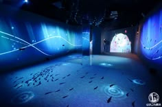 a room with blue lights and fish on the floor