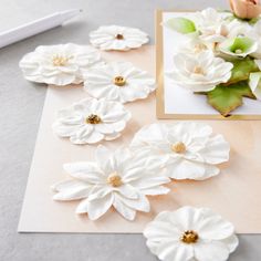 some white flowers are on top of a piece of paper