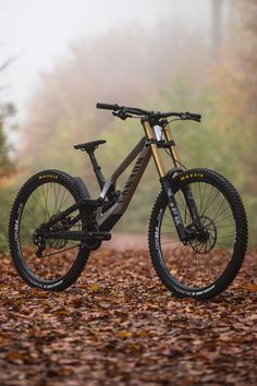 a mountain bike parked on the side of a leaf covered road