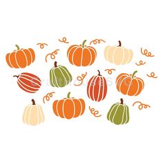 pumpkins are arranged in the shape of a circle on a white background with orange and green stripes