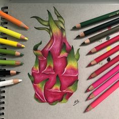 colored pencils next to a drawing of a dragon fruit with leaves and flowers on it