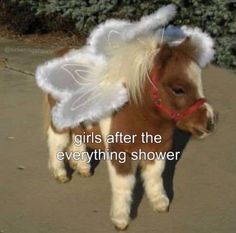 a small pony with angel wings on it's head and the words girls after the everything shower