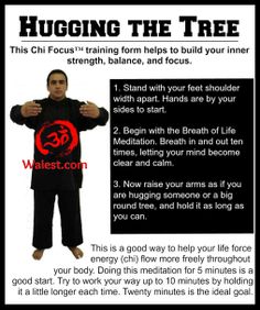 Zhan Zhuang, Hugging Tree, Tai Chi Movements, Learn Tai Chi, Yoga Strength