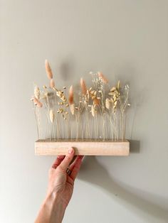 a hand holding a wooden shelf with dried flowers on it and grass sprouts growing from the top