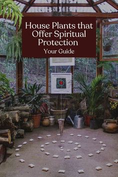 the inside of a greenhouse with lots of plants and potted plants in it, text reads house plants that offer spiritual protection your guide