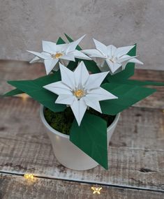 some white flowers are in a pot on a wooden table with lights around them and green leaves