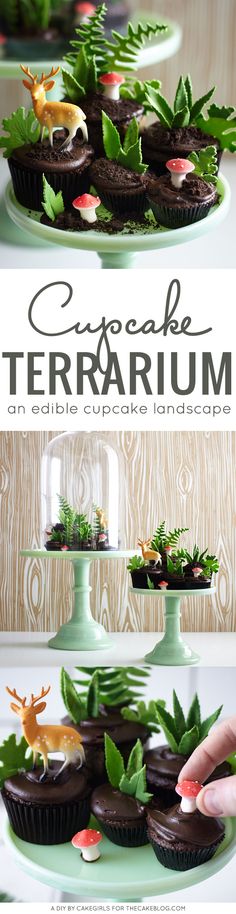 chocolate terrarium cupcakes on a cake stand