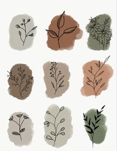 six different types of leaves drawn in ink on white paper with brown and green colors