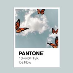 an image of three butterflies flying in the sky with text pantone 13 - 404 tsx ice flow