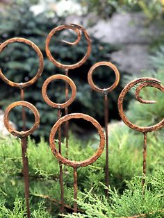 four rusty metal circles sitting on top of green grass in front of some bushes and trees