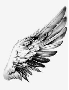 a black and white drawing of an angel wing