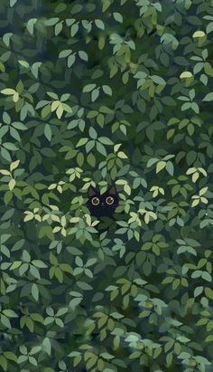 a black cat peeking out from the leaves of a tree with eyes wide open in front of it